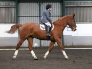 Image 86 in NEWTON HALL EQUITATION. DRESSAGE. 2ND DECEMBER 2018.