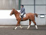 Image 87 in NEWTON HALL EQUITATION. DRESSAGE. 2ND DECEMBER 2018.