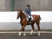 Image 89 in NEWTON HALL EQUITATION. DRESSAGE. 2ND DECEMBER 2018.