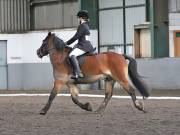 Image 9 in NEWTON HALL EQUITATION. DRESSAGE. 2ND DECEMBER 2018.