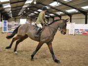 Image 107 in BROADS EQUESTRIAN CENTRE. SHOW JUMPING. 9TH. DEC. 2018