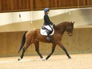 Image 10 in OPTIMUM EVENT MANAGEMENT. DRESSAGE AT MARTLEY HALL STUD. 15TH DEC. 2018