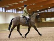 Image 102 in OPTIMUM EVENT MANAGEMENT. DRESSAGE AT MARTLEY HALL STUD. 15TH DEC. 2018