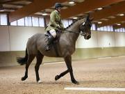 Image 103 in OPTIMUM EVENT MANAGEMENT. DRESSAGE AT MARTLEY HALL STUD. 15TH DEC. 2018