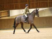 Image 106 in OPTIMUM EVENT MANAGEMENT. DRESSAGE AT MARTLEY HALL STUD. 15TH DEC. 2018