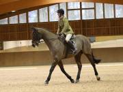 Image 110 in OPTIMUM EVENT MANAGEMENT. DRESSAGE AT MARTLEY HALL STUD. 15TH DEC. 2018