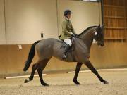 Image 111 in OPTIMUM EVENT MANAGEMENT. DRESSAGE AT MARTLEY HALL STUD. 15TH DEC. 2018