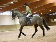 Image 113 in OPTIMUM EVENT MANAGEMENT. DRESSAGE AT MARTLEY HALL STUD. 15TH DEC. 2018