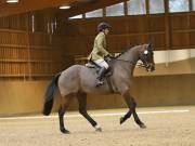 Image 114 in OPTIMUM EVENT MANAGEMENT. DRESSAGE AT MARTLEY HALL STUD. 15TH DEC. 2018