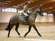 Image 116 in OPTIMUM EVENT MANAGEMENT. DRESSAGE AT MARTLEY HALL STUD. 15TH DEC. 2018