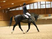 Image 121 in OPTIMUM EVENT MANAGEMENT. DRESSAGE AT MARTLEY HALL STUD. 15TH DEC. 2018