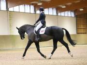 Image 122 in OPTIMUM EVENT MANAGEMENT. DRESSAGE AT MARTLEY HALL STUD. 15TH DEC. 2018