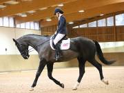 Image 128 in OPTIMUM EVENT MANAGEMENT. DRESSAGE AT MARTLEY HALL STUD. 15TH DEC. 2018