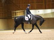 Image 129 in OPTIMUM EVENT MANAGEMENT. DRESSAGE AT MARTLEY HALL STUD. 15TH DEC. 2018