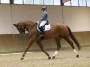 Image 13 in OPTIMUM EVENT MANAGEMENT. DRESSAGE AT MARTLEY HALL STUD. 15TH DEC. 2018