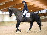 Image 133 in OPTIMUM EVENT MANAGEMENT. DRESSAGE AT MARTLEY HALL STUD. 15TH DEC. 2018