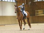 Image 135 in OPTIMUM EVENT MANAGEMENT. DRESSAGE AT MARTLEY HALL STUD. 15TH DEC. 2018