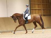 Image 137 in OPTIMUM EVENT MANAGEMENT. DRESSAGE AT MARTLEY HALL STUD. 15TH DEC. 2018