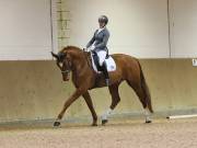 Image 138 in OPTIMUM EVENT MANAGEMENT. DRESSAGE AT MARTLEY HALL STUD. 15TH DEC. 2018