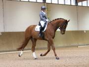 Image 139 in OPTIMUM EVENT MANAGEMENT. DRESSAGE AT MARTLEY HALL STUD. 15TH DEC. 2018