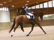 Image 140 in OPTIMUM EVENT MANAGEMENT. DRESSAGE AT MARTLEY HALL STUD. 15TH DEC. 2018