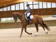 Image 143 in OPTIMUM EVENT MANAGEMENT. DRESSAGE AT MARTLEY HALL STUD. 15TH DEC. 2018