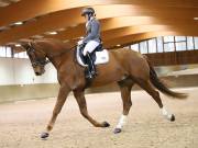 Image 144 in OPTIMUM EVENT MANAGEMENT. DRESSAGE AT MARTLEY HALL STUD. 15TH DEC. 2018