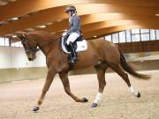 Image 144 in OPTIMUM EVENT MANAGEMENT. DRESSAGE AT MARTLEY HALL STUD. 15TH DEC. 2018