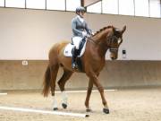 Image 145 in OPTIMUM EVENT MANAGEMENT. DRESSAGE AT MARTLEY HALL STUD. 15TH DEC. 2018