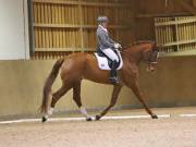 Image 146 in OPTIMUM EVENT MANAGEMENT. DRESSAGE AT MARTLEY HALL STUD. 15TH DEC. 2018