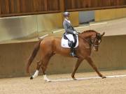 Image 147 in OPTIMUM EVENT MANAGEMENT. DRESSAGE AT MARTLEY HALL STUD. 15TH DEC. 2018