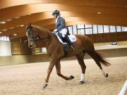 Image 148 in OPTIMUM EVENT MANAGEMENT. DRESSAGE AT MARTLEY HALL STUD. 15TH DEC. 2018