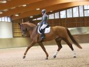 Image 150 in OPTIMUM EVENT MANAGEMENT. DRESSAGE AT MARTLEY HALL STUD. 15TH DEC. 2018