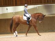 Image 152 in OPTIMUM EVENT MANAGEMENT. DRESSAGE AT MARTLEY HALL STUD. 15TH DEC. 2018