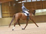 Image 153 in OPTIMUM EVENT MANAGEMENT. DRESSAGE AT MARTLEY HALL STUD. 15TH DEC. 2018