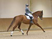 Image 154 in OPTIMUM EVENT MANAGEMENT. DRESSAGE AT MARTLEY HALL STUD. 15TH DEC. 2018