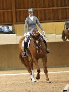 Image 157 in OPTIMUM EVENT MANAGEMENT. DRESSAGE AT MARTLEY HALL STUD. 15TH DEC. 2018