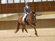 Image 158 in OPTIMUM EVENT MANAGEMENT. DRESSAGE AT MARTLEY HALL STUD. 15TH DEC. 2018