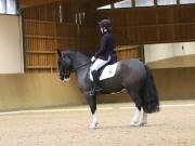 Image 170 in OPTIMUM EVENT MANAGEMENT. DRESSAGE AT MARTLEY HALL STUD. 15TH DEC. 2018