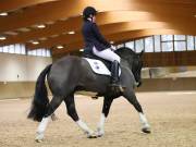 Image 172 in OPTIMUM EVENT MANAGEMENT. DRESSAGE AT MARTLEY HALL STUD. 15TH DEC. 2018