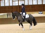 Image 182 in OPTIMUM EVENT MANAGEMENT. DRESSAGE AT MARTLEY HALL STUD. 15TH DEC. 2018