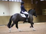 Image 190 in OPTIMUM EVENT MANAGEMENT. DRESSAGE AT MARTLEY HALL STUD. 15TH DEC. 2018