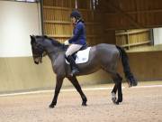 Image 195 in OPTIMUM EVENT MANAGEMENT. DRESSAGE AT MARTLEY HALL STUD. 15TH DEC. 2018