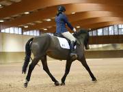 Image 198 in OPTIMUM EVENT MANAGEMENT. DRESSAGE AT MARTLEY HALL STUD. 15TH DEC. 2018