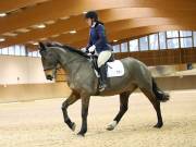 Image 204 in OPTIMUM EVENT MANAGEMENT. DRESSAGE AT MARTLEY HALL STUD. 15TH DEC. 2018