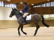 Image 205 in OPTIMUM EVENT MANAGEMENT. DRESSAGE AT MARTLEY HALL STUD. 15TH DEC. 2018