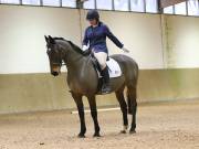 Image 216 in OPTIMUM EVENT MANAGEMENT. DRESSAGE AT MARTLEY HALL STUD. 15TH DEC. 2018