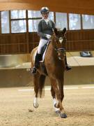 Image 29 in OPTIMUM EVENT MANAGEMENT. DRESSAGE AT MARTLEY HALL STUD. 15TH DEC. 2018