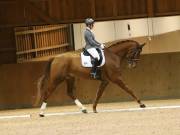 Image 31 in OPTIMUM EVENT MANAGEMENT. DRESSAGE AT MARTLEY HALL STUD. 15TH DEC. 2018