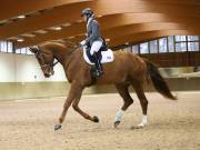 Image 34 in OPTIMUM EVENT MANAGEMENT. DRESSAGE AT MARTLEY HALL STUD. 15TH DEC. 2018